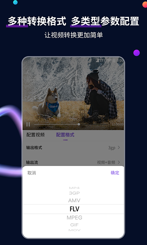 理想中的人叶倩文截图